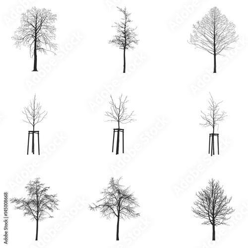 Vector set of tree silhouettes, isolated on white background.