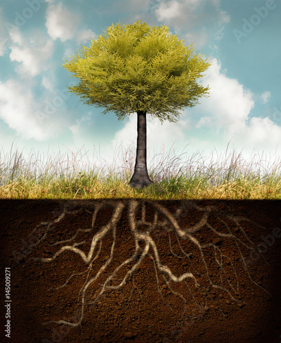 Фотография Development of life