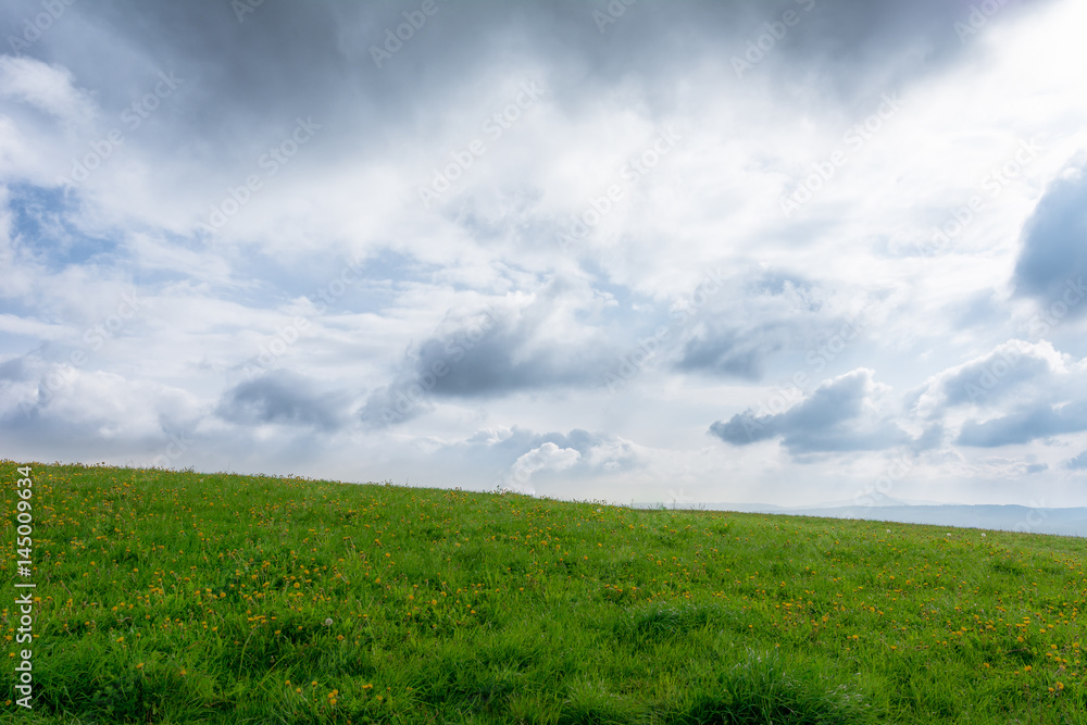 Landschaft mit grünem Feld und wolkigem Himmel mit Textfreiraum im Sommer