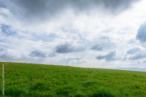 Landschaft mit gr  nem Feld und wolkigem Himmel mit Textfreiraum im Sommer