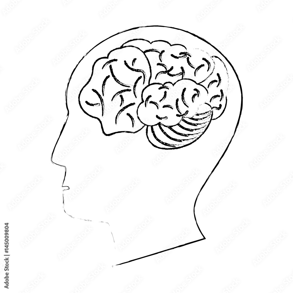 Human Brain Thinking Line Drawing Art, Brain Drawing, Wing Drawing, Rain  Drawing PNG Transparent Clipart Image and PSD File for Free Download | Line  art drawings, Brain drawing, Line drawing