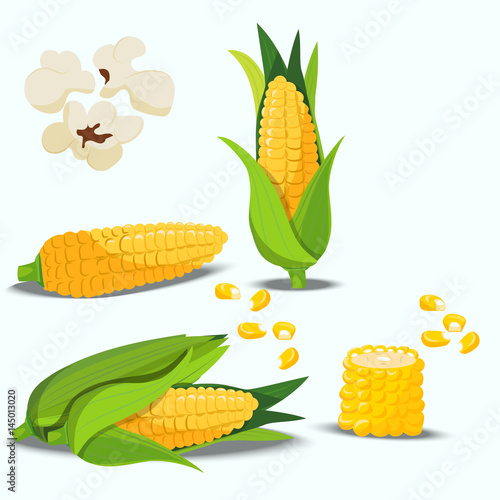 sweet golden corn