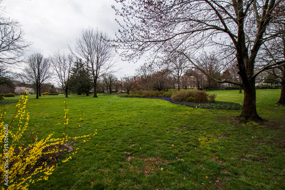 Guilford Neighborhood in Baltimore, Maryland during Spring