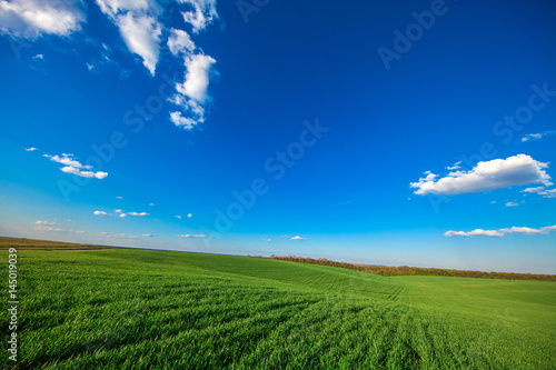 Green Field and Beautiful Sunset