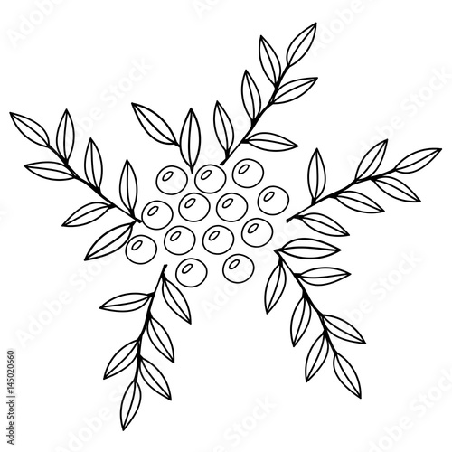 Black line rowan with leaf isolated on the white background