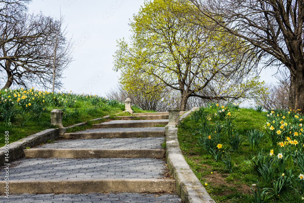 Spring landscape of patterson park with flowers in baltimore maryland