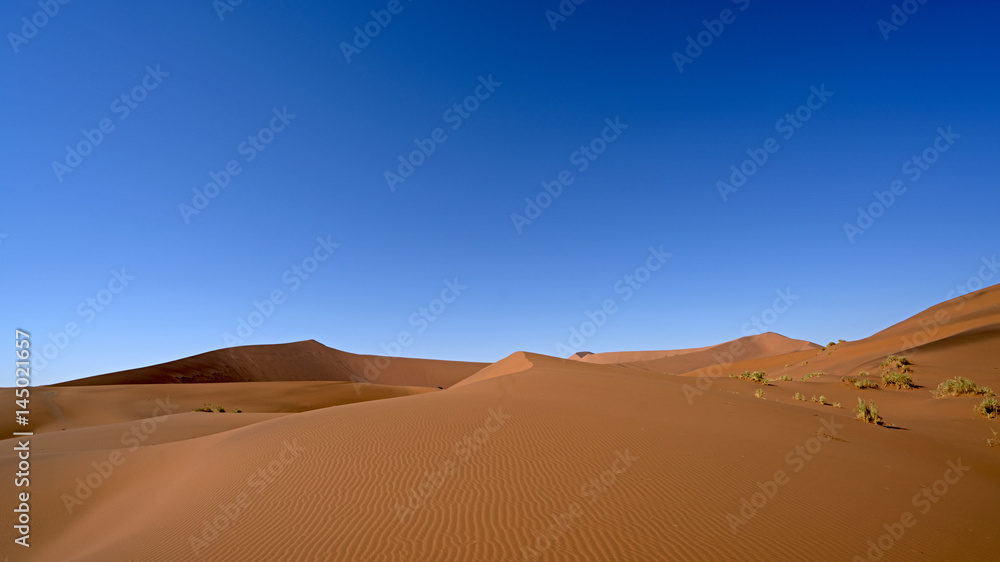 Sand Dunes in Sossusvlei, Namib-Naukluft National Park, Namibia