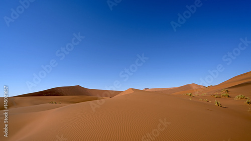 Sand Dunes in Sossusvlei  Namib-Naukluft National Park  Namibia