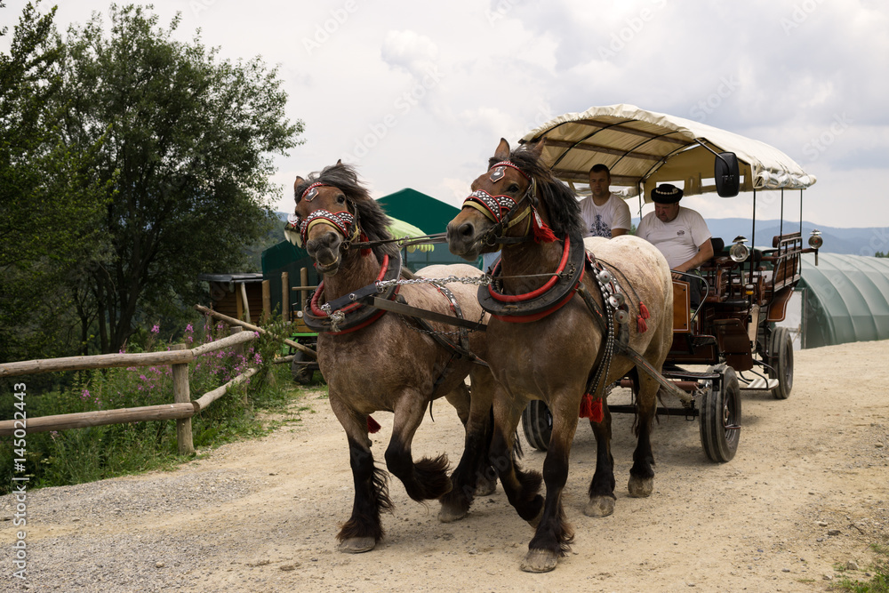 Horse carriage on the farm. Slovakia Horse carriage on the farm. Slovakia