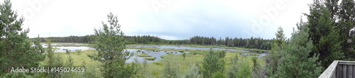 Panorama of Hunneberg forest with dark and cloudy sky in Sweden
