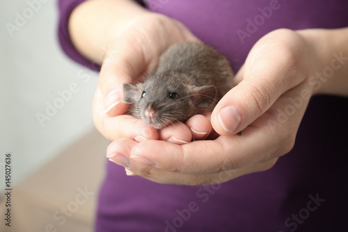 Young woman with cute funny rat, closeup