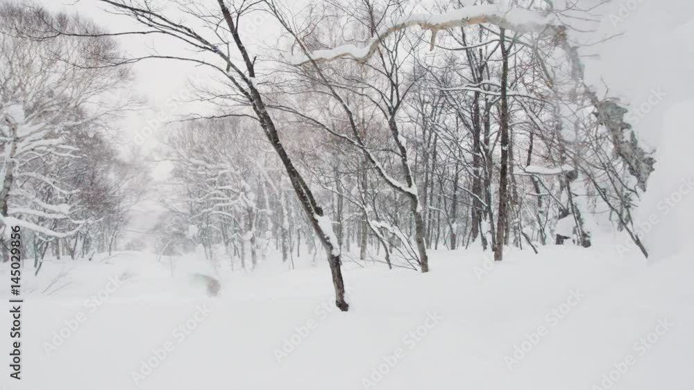 Snowboarding Air Off Tree Backside 360 In Powder Backcountry Freestyle Riding Winter Sports Scen Snowboarding Air Off Tree Backside 360 In Powder Backcountry Freestyle Riding Winter Sports Scen