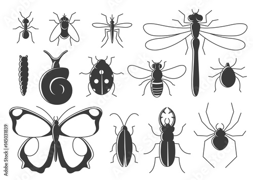 Insects set in flat style. Line art bugs icon collection. © mashot