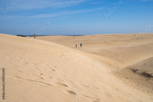 Yellow sand dunes and bright blue sky 