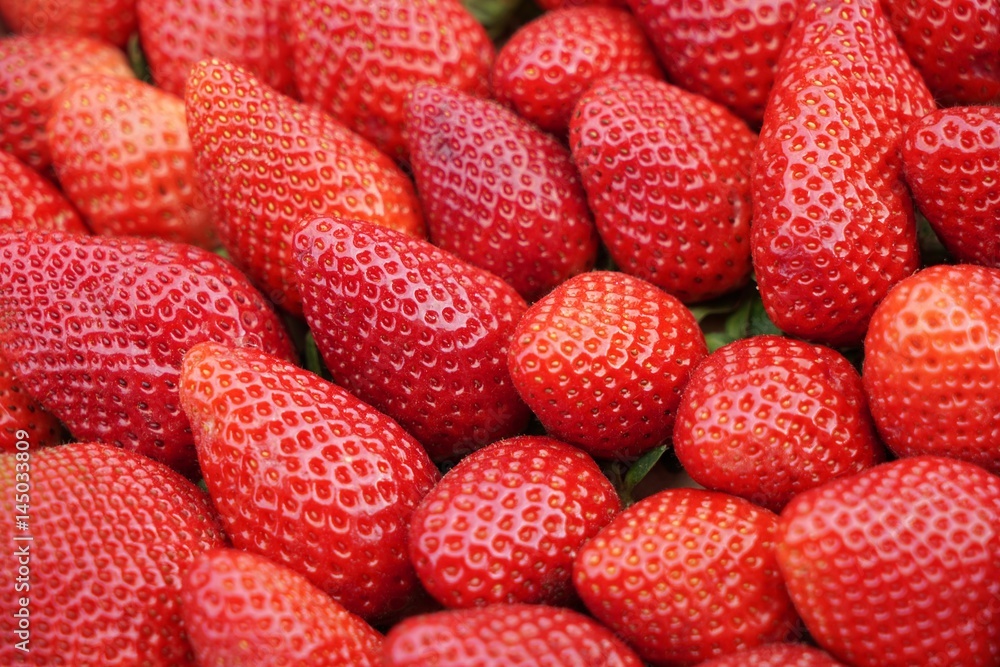 .........Erdbeeren, Früchte, Obst .........Erdbeeren, Früchte, Obst