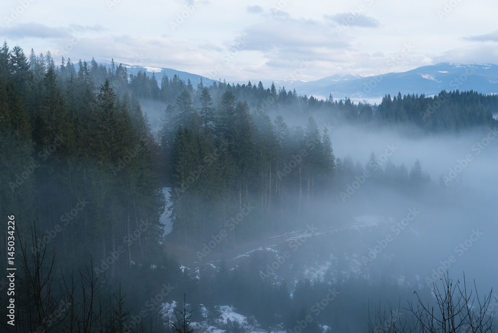 Fototapeta premium Spring landscape with fog in the mountains