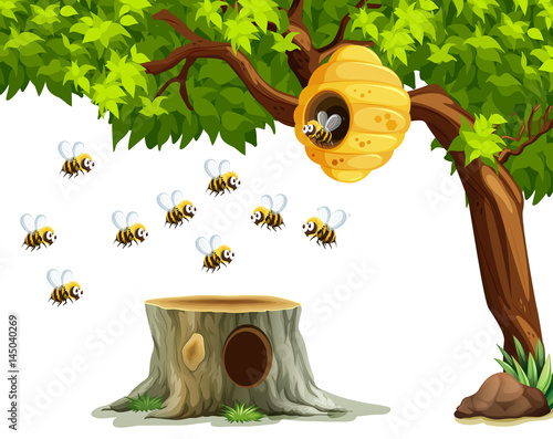 Bees flying around beehive on the tree