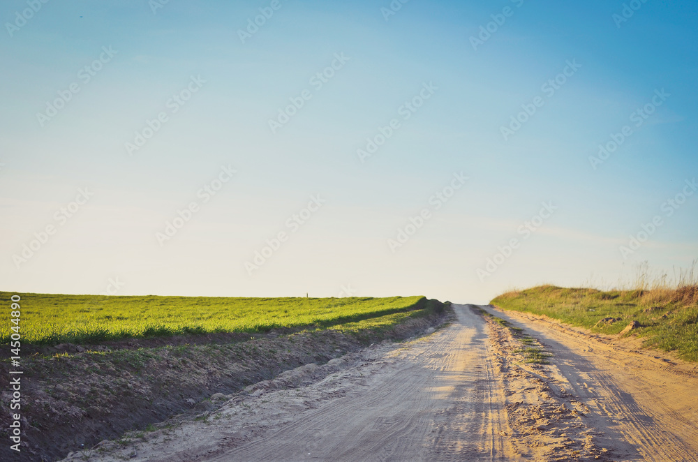 A panoramic view of green spring fields, blue cloudless sky and a rural road in perspective. Toned image.
