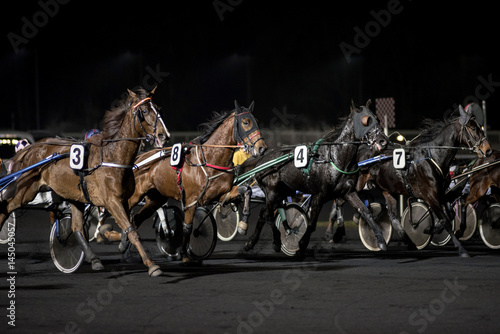 Fototapeta Naklejka Na Ścianę i Meble -  course de chevaux
