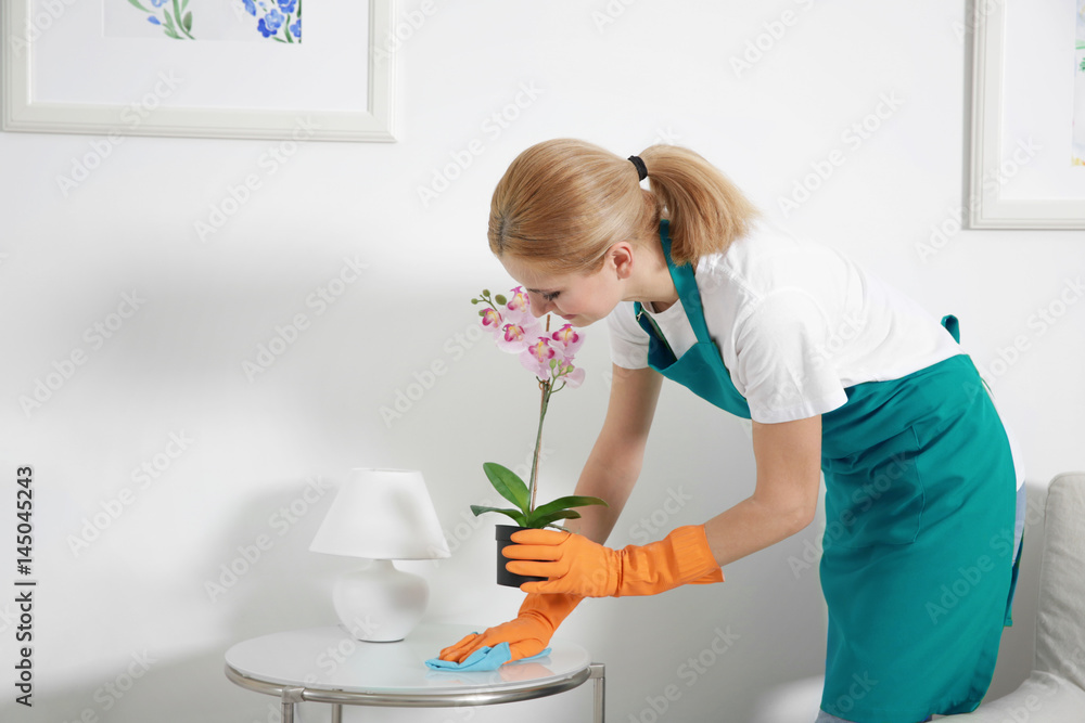 Woman with rag cleaning home Stock Photo Adobe Stock