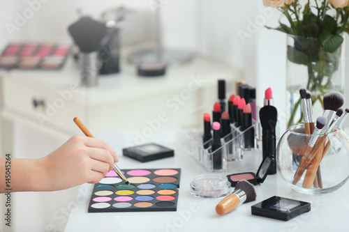 Professional makeup artist with cosmetics at beauty salon