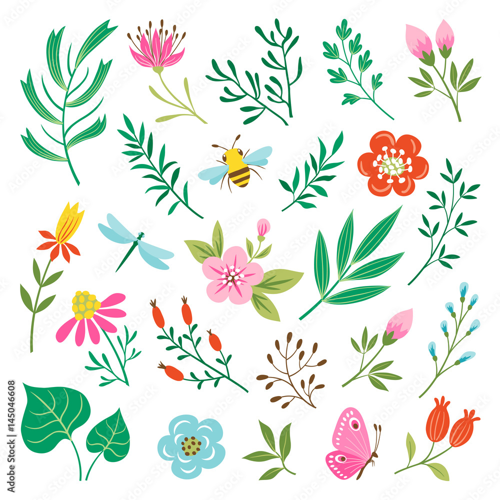 Set of insects and floral design elements isolated on white background Set of insects and floral design elements isolated on white background