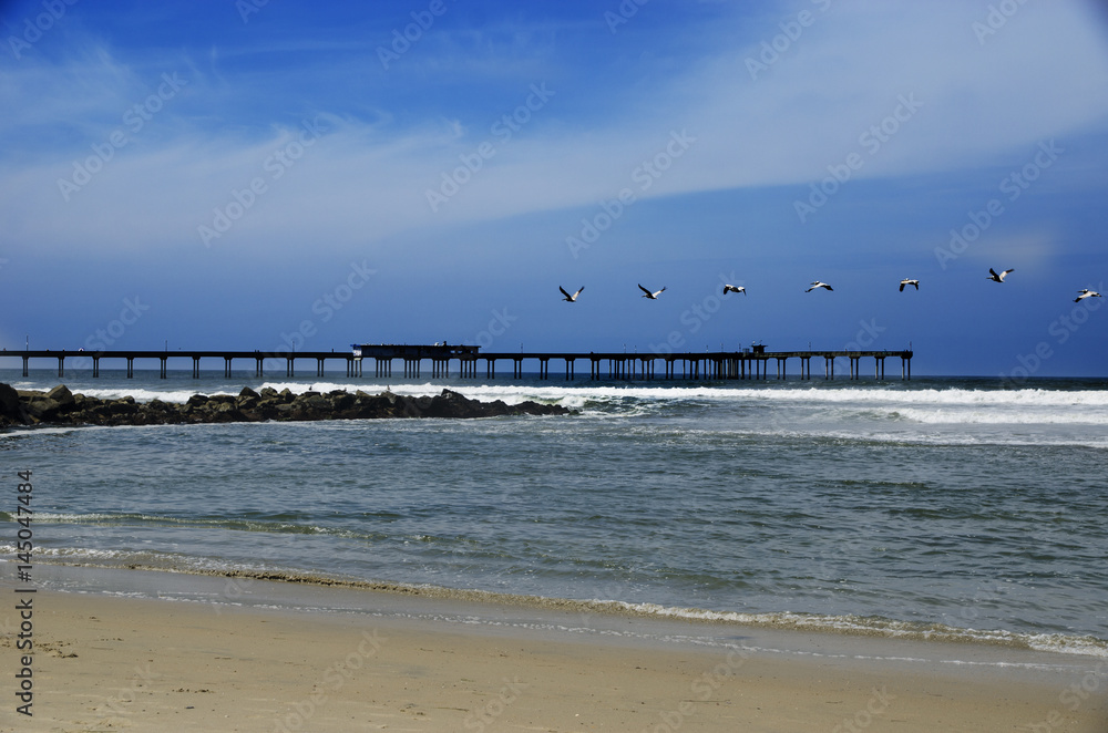 Pelicans over the surf