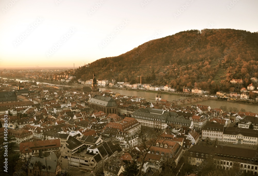 Heidelberg from the Castle