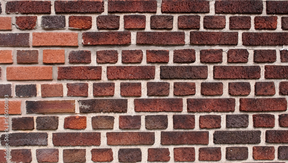Obraz premium Rows from a brick wall