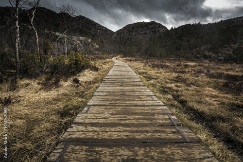 Hiking trail and alpine landscape of the Preikestolen  Pulpit rock  and Lysefjord area in Rogaland