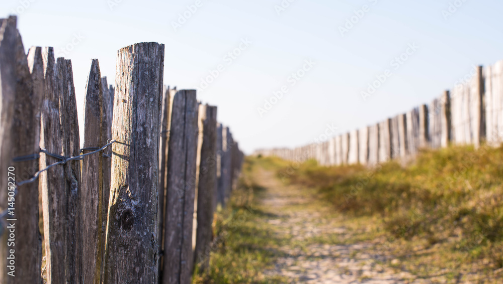 Chemin plage Chemin plage