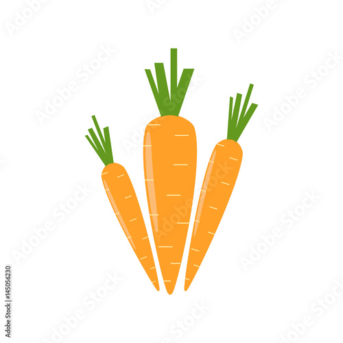 Carrot vector illustration. Flat design