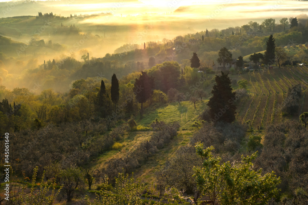 Fototapeta premium Typical Tuscan landscape