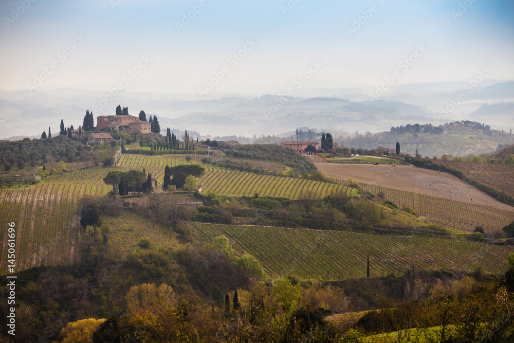 Typical Tuscan landscape Typical Tuscan landscape