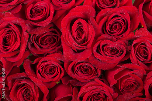 fresh red roses background