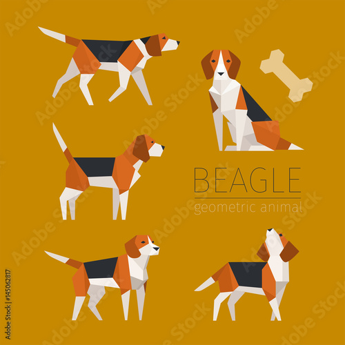 geometric low poly dog beagle set