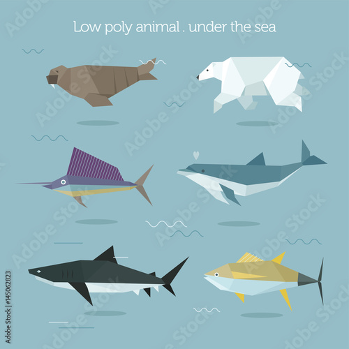 low poly fish flat design vector illustration set