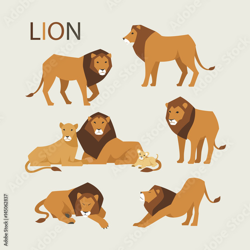 lion family various poses flat design illustration set