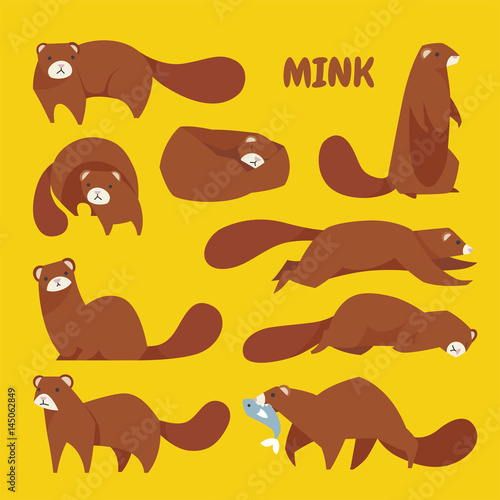 animal mink various poses flat design illustration set