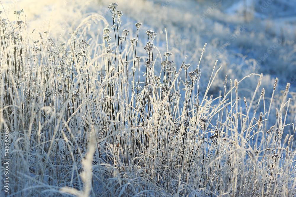 Fototapeta premium Fresh snow winter background in nature