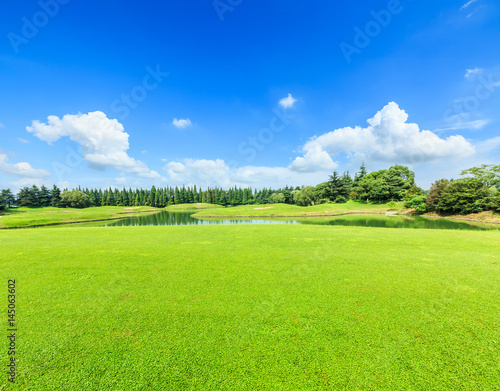green grass under the blue sky