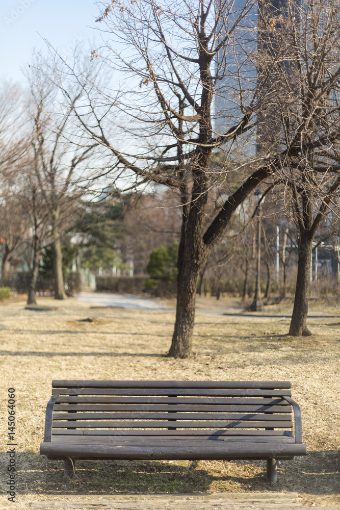 Bench Bench