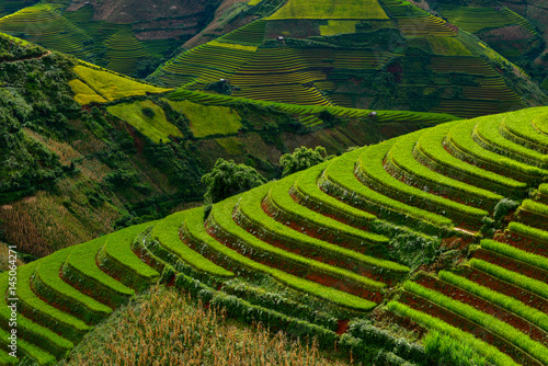 Rice terrace on during sunset ,Vietnam,vietnam rice terrace,rice field of vietnam,terrace rice field,mu chang chai rice field