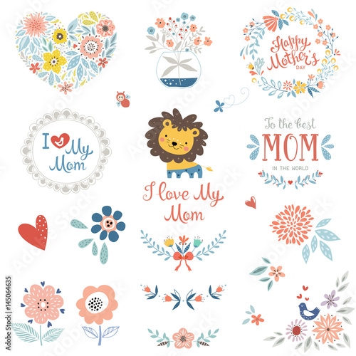Mother's Day set with typographic design elements. Flowers, branches, wreaths, butterfly and bird, cute little Lion and floral bouquet in vase. Vector illustration.