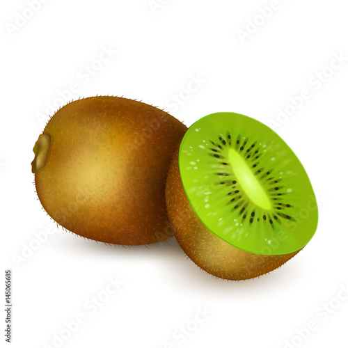 Kiwi isolated on white background. Realistic kiwi cut in half. Vector.