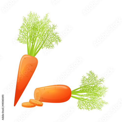 Colorful cartoon style sliced carrot. Eco organic fresh vegetable. Vector.