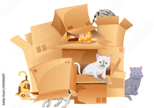 Cats Playing Cardboard Boxes
