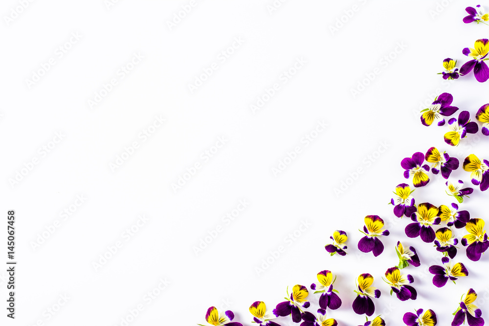 Pansy flowers, summer wildflowers on white background, overhead