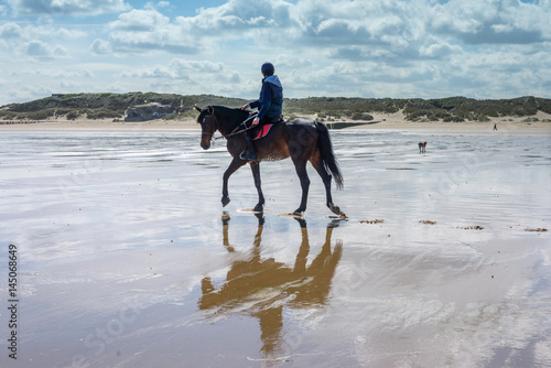 cavalier trottant sur la plage