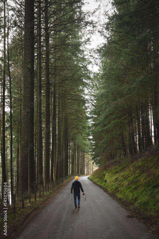 Man walking away down road between trees with camera Man walking away down road between trees with camera